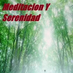 Meditación Dormir