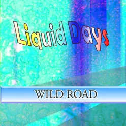 WILD ROAD