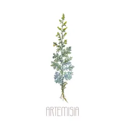 Artemisia