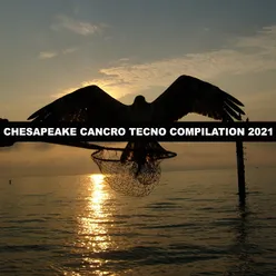 CHESAPEAKE CANCRO TECNO COMPILATION 2021