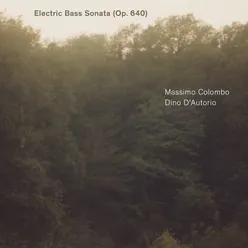 Electric Bass Sonata, Op. 640: I. Andante latin