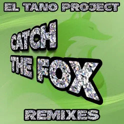 Catch The Fox Remixes