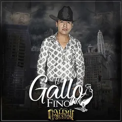 El Gallo Fino