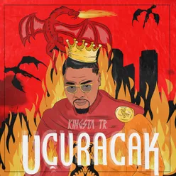 Uçuracak