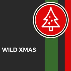 Wild Xmas Fameux thèmes de Noël (rock-soul-jazz-world-folk-electro)