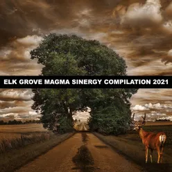 ELK GROVE MAGMA SINERGY COMPILATION 2021