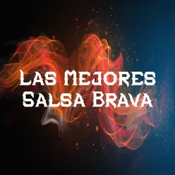 Las Mejores Salsa Brava