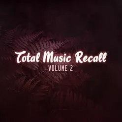 Total Music Recall, Vol. 2