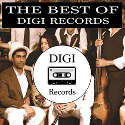 THE BEST OF DIGI RECORDS