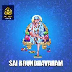 SAI BRUNDHAVANAM