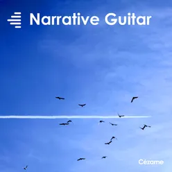 Narrative Guitar