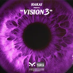 Vision 3