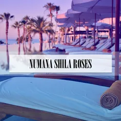 NUMANA SHILA ROSES