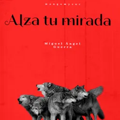 Alza Tu Mirada