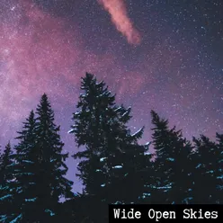 Wide Open Skies