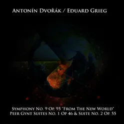 Symphony No. 9 "From The New World" in E Minor, Op. 95, B 178: IV. Finale: Allegro