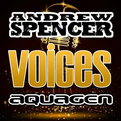 Voices Radio Edit