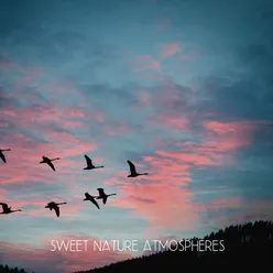 Prairie Day Wind Crickets Clearing Subconscious Negativity, Meditation Music for Positive Energy, Healing Music