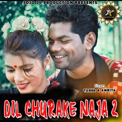 DIL CHURAKE NA JA 2