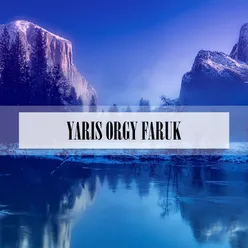 YARIS ORGY FARUK