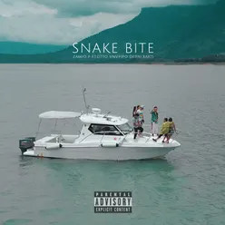 Snake bite