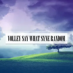 VOLLEY SAY WHAT SYNE RANDOM