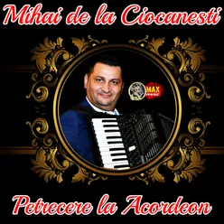 Petrecere La Acordeon