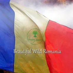 Beautiful Wild Romania