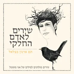 שירים לאדם החלקי