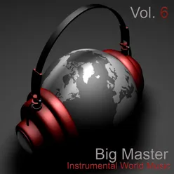 Instrumental World Music, Vol. 6