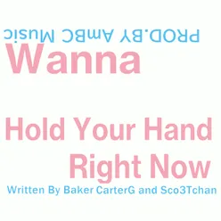 Wanna Hold Your Hand Right Now Vocal Off