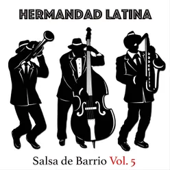 Salsa de Barrio, Vol. 5