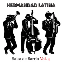 Salsa de Barrio, Vol. 4