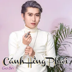 Cánh Hồng Phai