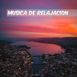 Musica de Relajacion