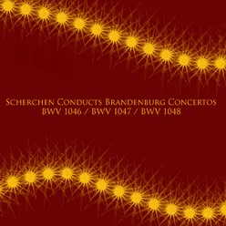 Brandenburg Concertos No. 1 in F Major, BWV 1046: I. Allegro