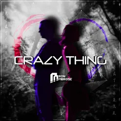 Crazy Thing (Raindropz! vs. Deejay Delight Remix)