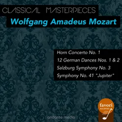 Divertimento in F Major, K. 138 "Salzburg Symphony No. 3": III. Presto