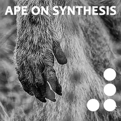 APE ON SYNTHESIS,Vol. 4