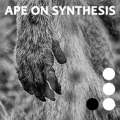 APE ON SYNTHESIS, Vol. 3