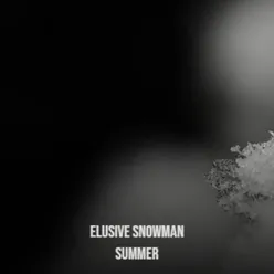 Elusive Snowman Summer