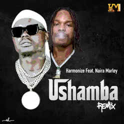 Ushamba Remix