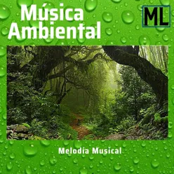 Música Ambiental