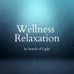 In Search of Light - Wellness Relaxation