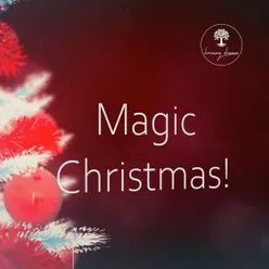 Magic Christmas!