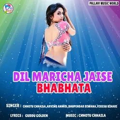 Dil Maricha Jaise Bhabhata