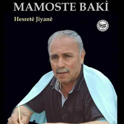 Hesretê Jîyanê