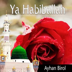 Ya Habiballah