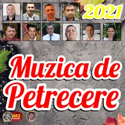 Muzica De Petrecere 2021 Pentru Soferi