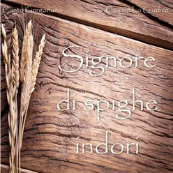 Signore di spighe indori